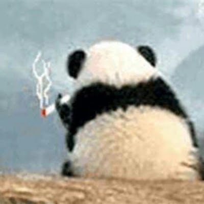 yangda7777's profile picture.