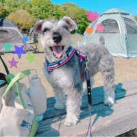 ERI ♪ (@wendypari) 's Twitter Profile Photo ERI ♪ (@wendypari) 's Twitter Profile Photo