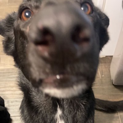 refractor57_262's profile picture. 