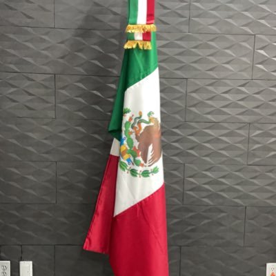 RubenGarridoGm1's profile picture. Solo hoy y ahora