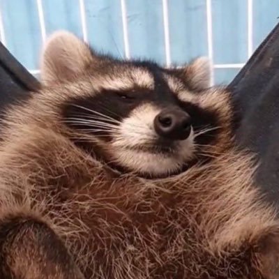 horynca Profile Picture