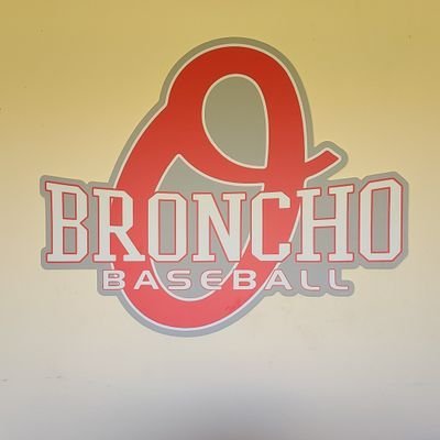 Official Page of Odessa High School Baseball