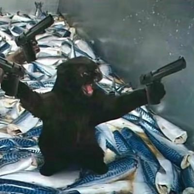 KimMELLANO1's profile picture. Feur