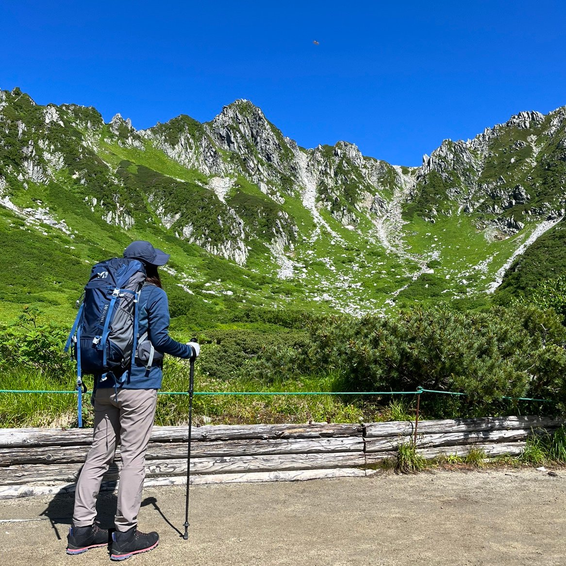 bach0911's profile picture. 