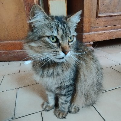 ool1g's profile picture. 