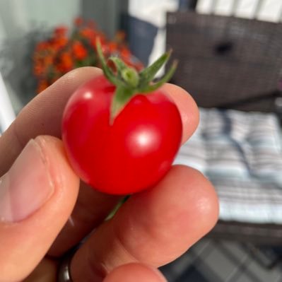 Theodor27935194's profile picture. Husband, father, conservative, hockey, workouts, trading, Catholic.