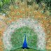 हम_पंछी_एक_ड़ाल_के #HPEDK 🐥🐥💕🐥🐥 (@hpedk11) Twitter profile photo हम_पंछी_एक_ड़ाल_के #HPEDK 🐥🐥💕🐥🐥 (@hpedk11) Twitter profile photo