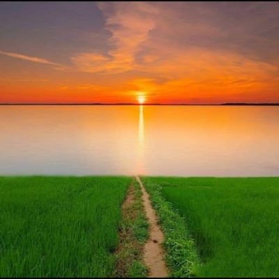 Sushylsaini's profile picture. Nothing Matters & Everything Matters