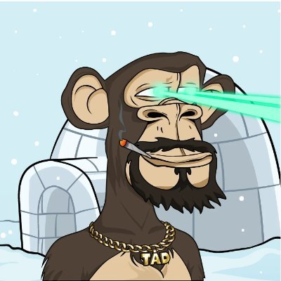 365reflection's profile picture. Cardano NFT, DEX, LENDING, SERVICES.  Follow and comment. Do you want to be up to date? Don't miss anything.