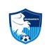 Erzurumspor FK Store (@erzstore) Twitter profile photo