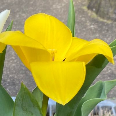 5t57jupoObojgzv's profile picture. 介護士です(°_°) 無言フォロー失礼します