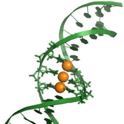 The MüllerLab is a research group @uni_muenster interested in Bioinorganic Chemistry with a particular focus on nucleic acids.