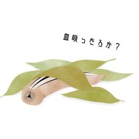 ひるちゃん:やまびる伝道師 (@hiruchan_ch) 's Twitter Profile