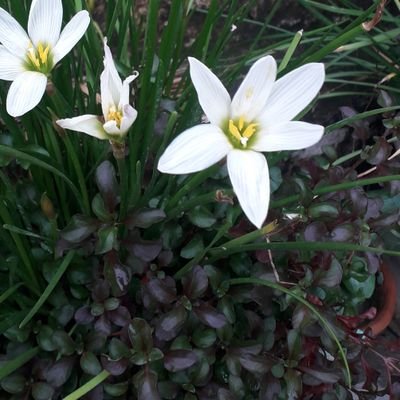 psi_sanem's profile picture. سُبْحـانَ اللهِ وَبِحَمْـدِهِ عَدَدَ خَلْـقِه ، وَرِضـا نَفْسِـه ، وَزِنَـةَ عَـرْشِـه ، وَمِـدادَ كَلِمـاتِـه
Ψist
Psychology