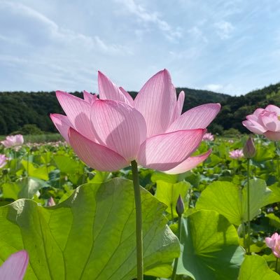 小春六花の部屋に飾られたぬいぐるみになりたい。ボイスは六花・花梨・千冬・ゆかり(VOI2)潮風らじお…第二回FMおたるコラボ企画AHS賞いただきました。