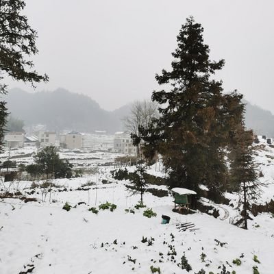 GEorge37214608's profile picture. 