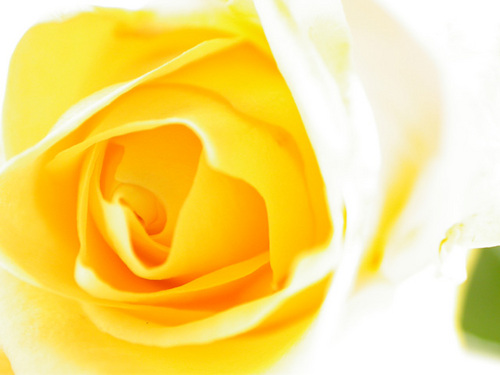 mikarin1992's profile picture. みかりんです～ツイッター初めてだから間違えたり変なことしたりするかも(*´∀｀*)
みんな仲良くしてね(*^^)v