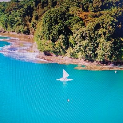 6x2EwS2QBxkrFBD's profile picture. 