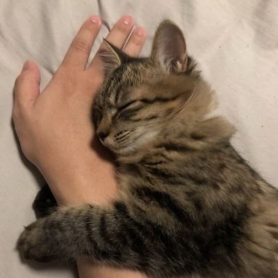 metinvasyon's profile picture. Reset.