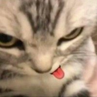 choose (@choose_ow) 's Twitter Profile