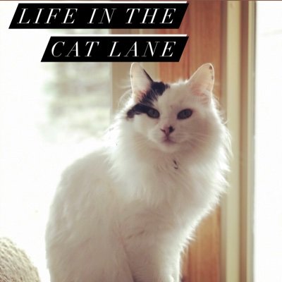 Life In The Cat Lane Podcast.