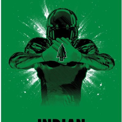 BigGreenIndian Profile Picture