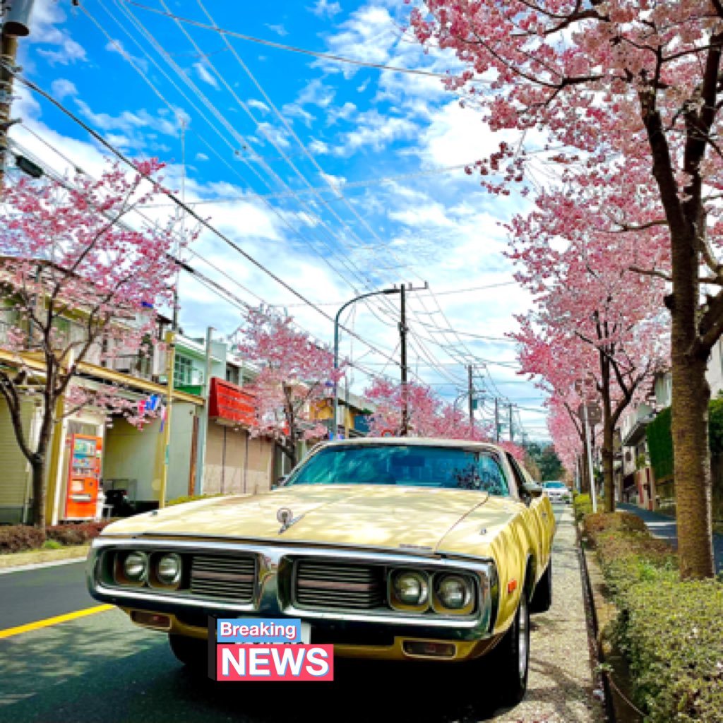 ゲーム音楽でDJします。エレクトロパンダ⚡️🐼#エレパン の準レギュラー ラーメンとアメ車と模型が好きです