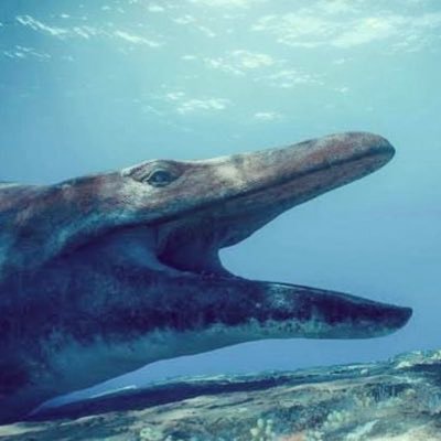 ペンゴラス第4形態さんのプロフィール画像