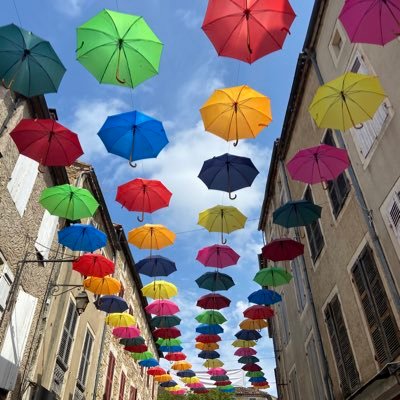 belarausch's profile picture. Sek1 Lehrerin Deu und Mu, auf der Suche nach Inspiration, an der eigenen Schule der Einäugige unter den Blinden für digitales Unterrichten