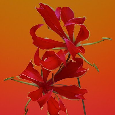 @jnr2e