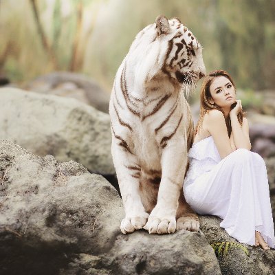 Royals_NFT_'s profile picture. Best NFT creator  natural great mints and collections