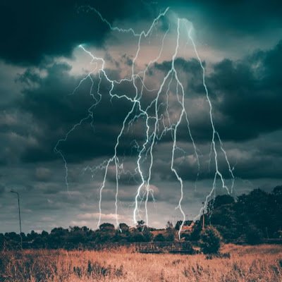 Allisonszv3's profile picture. 