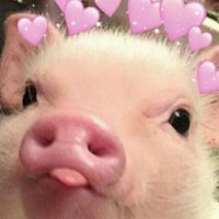 chonkopus (@chonkopus) 's Twitter Profile