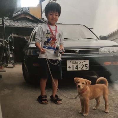 どーじゃわんこ