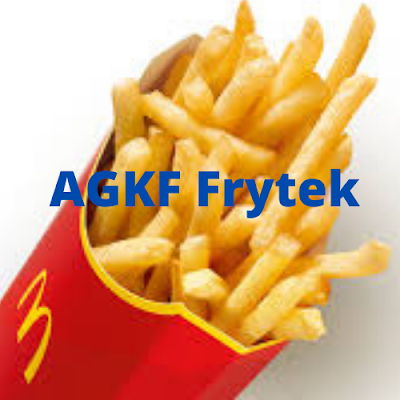 AFrytek's profile picture. 