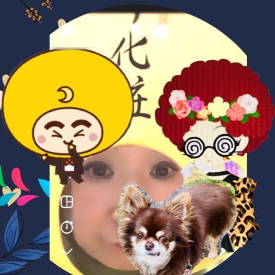 CGTAIZU519AG's profile picture. 気まぐれなおばちゃま😜X＋さん、Tatsuyaさん他🌻推し活🎵（愛犬スタンプ）https://t.co/fbjGMfCSka https://t.co/3EcGiOSVch
