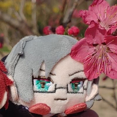 카사さんのプロフィール画像