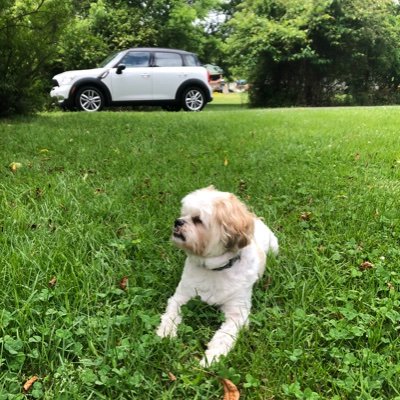 mhick's profile picture.