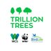 Trillion Trees (@1TrillionTrees) Twitter profile photo