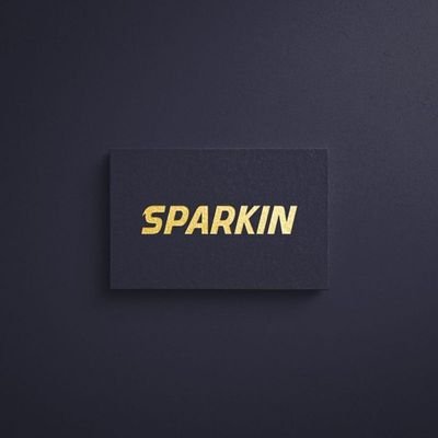 Sparkin001's profile picture. don't take it serious 🥲

Chelsea💥💙