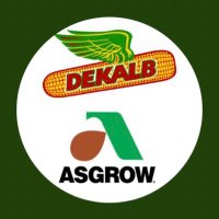 DEKALB Asgrow SW Iowa (@dkas_swia) 's Twitter Profile Photo DEKALB Asgrow SW Iowa (@dkas_swia) 's Twitter Profile Photo