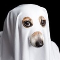 Stinker3winker's profile picture. yello!!2!!!&93 im 16th of age!  My favorite Roblox game would have to be… press and ure