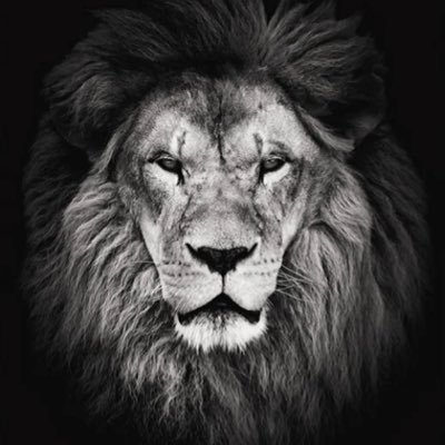 YannFly76's profile picture. photographe de charme & Porn-art pour particulier et TDS