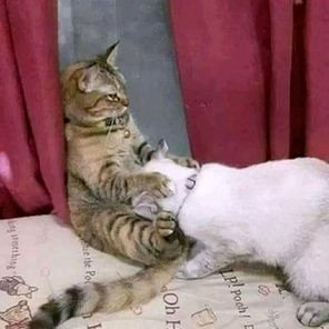 Hercule47513191's profile picture. Menanti sebuah impian