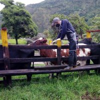 PL OCAÑA-PASION GANADERA (@pcghrs) 's Twitter Profile