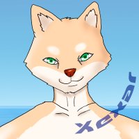 Xexar (@xexar_x) 's Twitter Profile