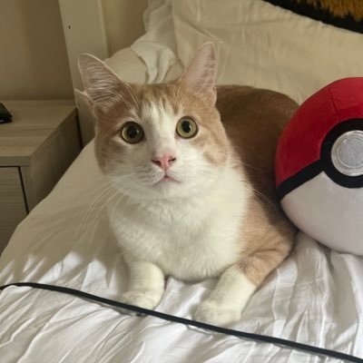 rawcatfish's profile picture. 