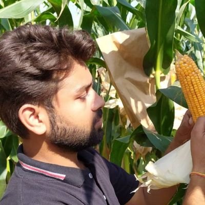 Research Fellow at Maize Genetics Unit 🌽🌽🌽Division of Genetics (ICAR- Indian Agricultural Research Institute New Delhi)