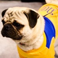 Alfredo Davila (@alfredo01329006) 's Twitter Profile