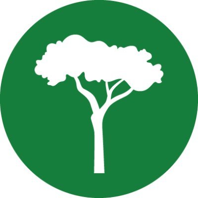 International Tree Foundation Profile